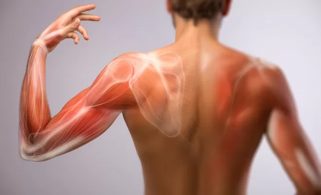 Renforcement musculaire, Charbonnières-les-Bains, Docteur LE GUILLOUZIC Solenne